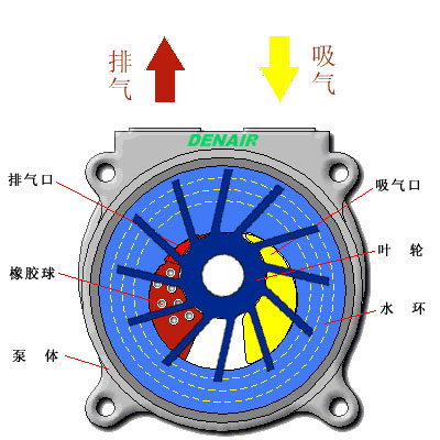 水環(huán)真空泵原理圖