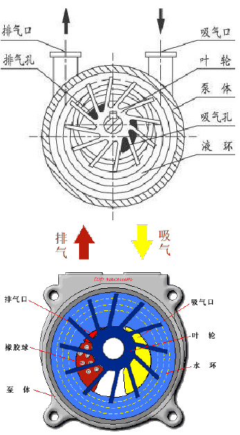 水環(huán)式真空泵